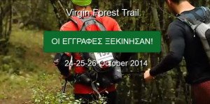 vft 2014 egrafes