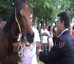 ippodromis aponomes 0jpg